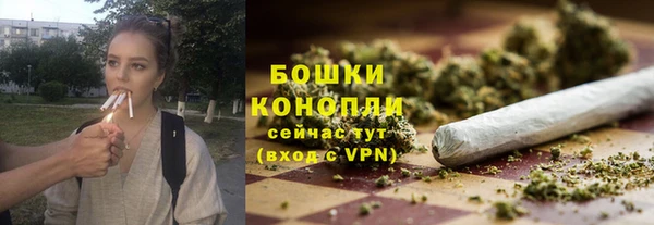 спиды Верея
