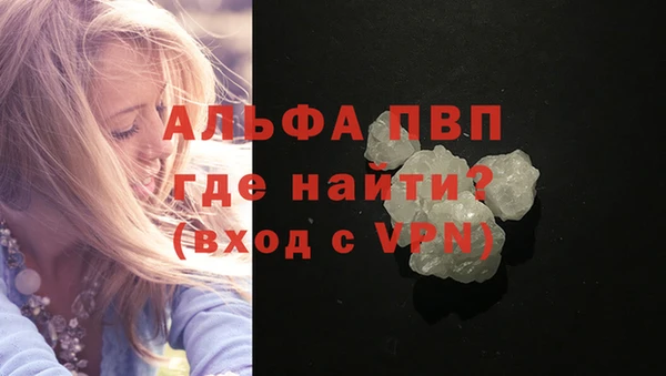 спиды Верея