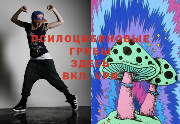 спиды Верея